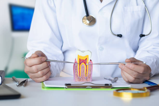 Best Root Canal Emergency Dentist  in Buellton, CA